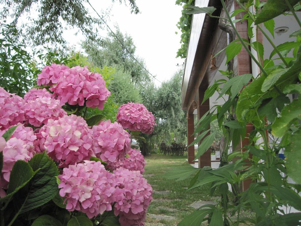 Uysallar Koy Evi İmroz Exteriér fotografie